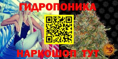 МДПВ Будённовск