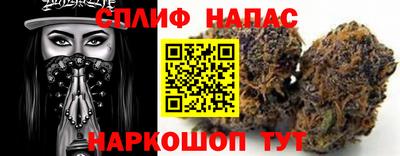 МДПВ Будённовск