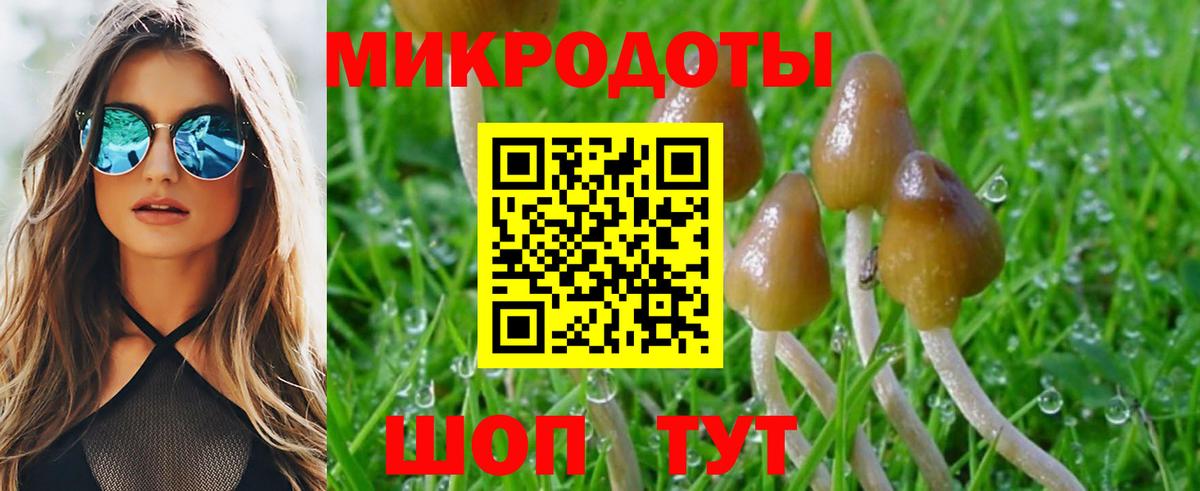Галлюциногенные грибы мухоморы  Вход с VPN  Коммунар 
