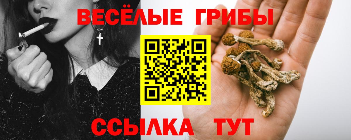 Галлюциногенные грибы прущие грибы Коммунар